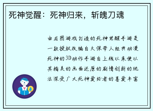 死神觉醒：死神归来，斩魄刀魂